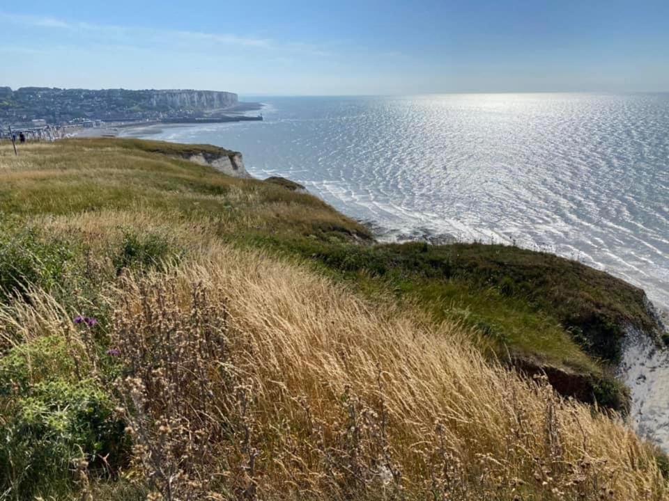 Plage A 50M Appartement Reves Tranquilles Villa Les Bains De Mers Eksteriør billede