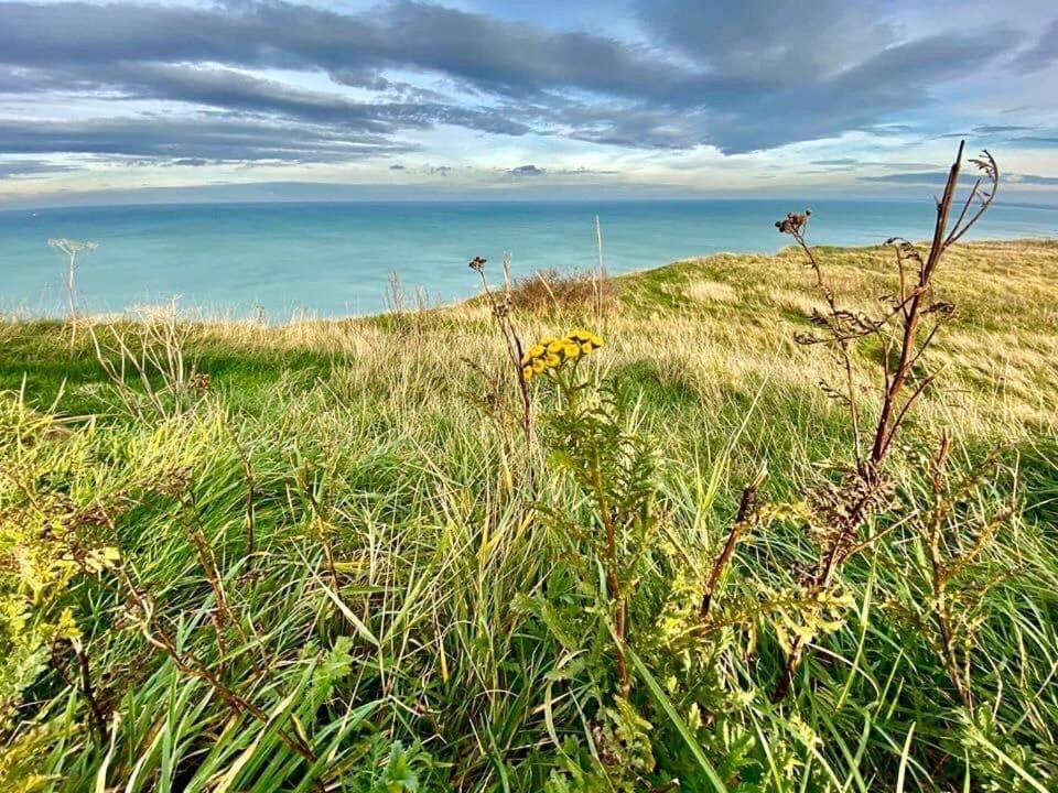 Plage A 50M Appartement Reves Tranquilles Villa Les Bains De Mers Eksteriør billede
