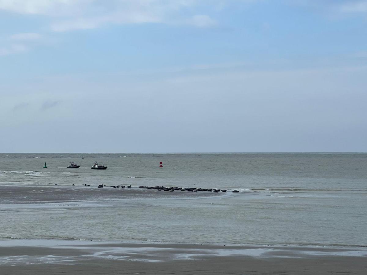 Plage A 50M Appartement Reves Tranquilles Villa Les Bains De Mers Eksteriør billede