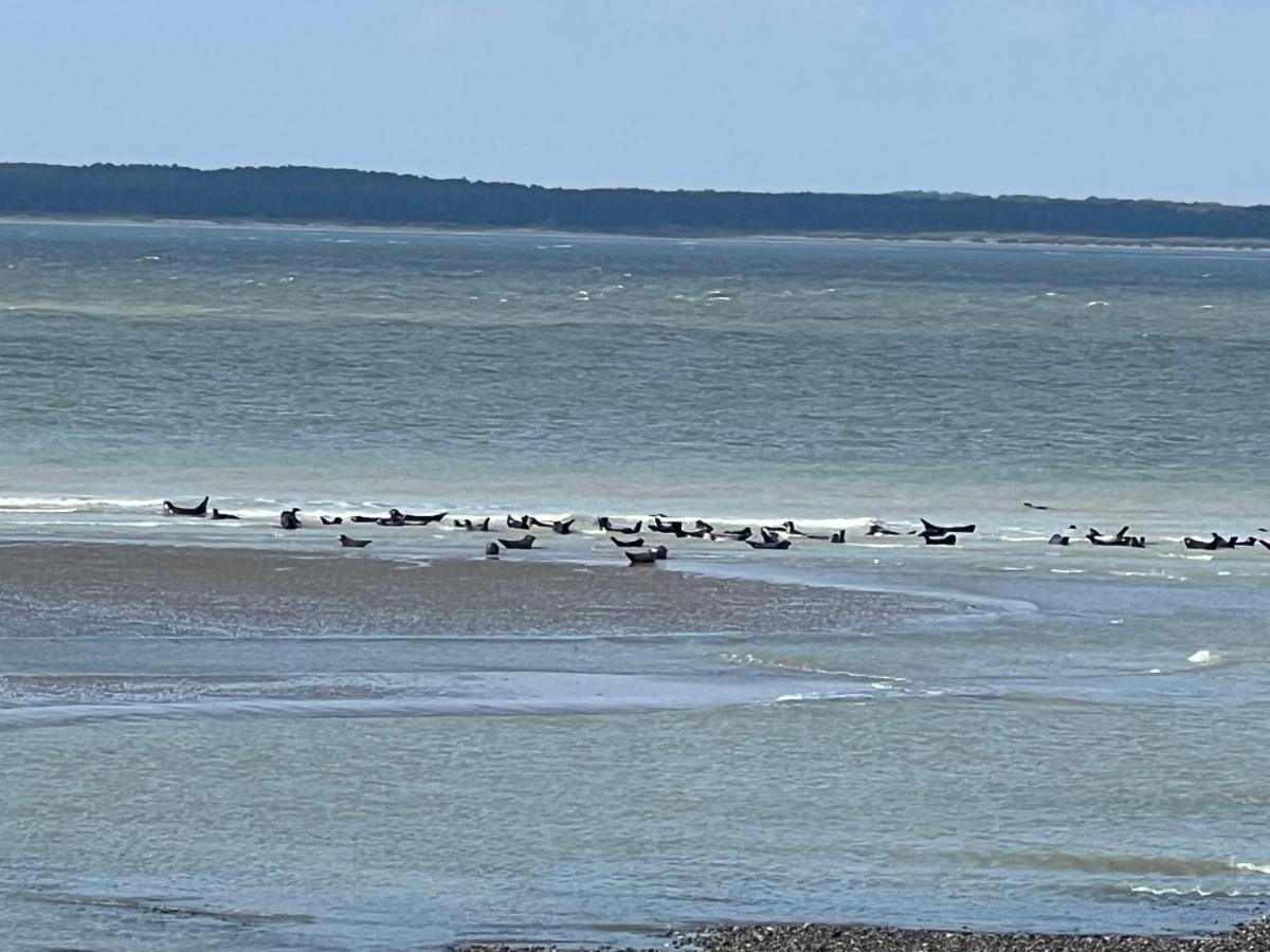 Plage A 50M Appartement Reves Tranquilles Villa Les Bains De Mers Eksteriør billede