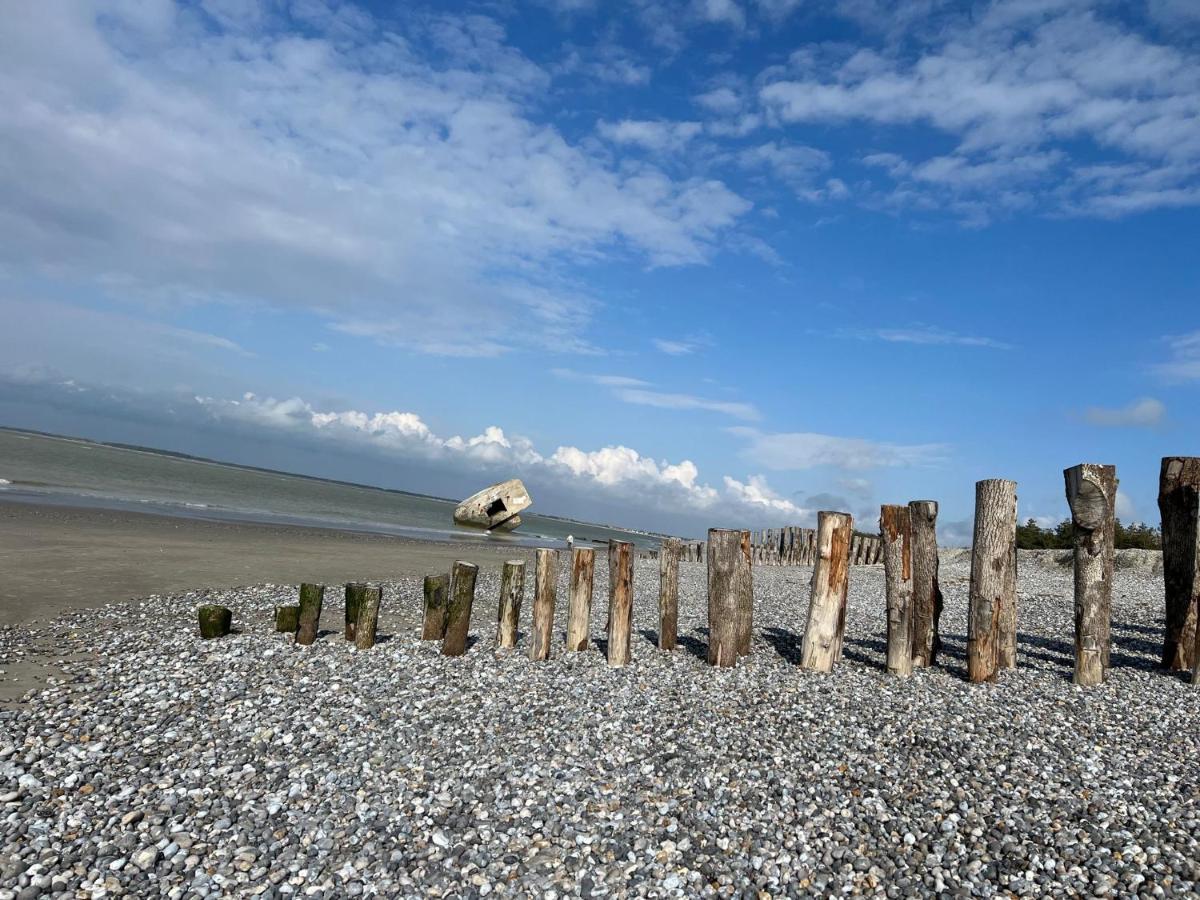 Plage A 50M Appartement Reves Tranquilles Villa Les Bains De Mers Eksteriør billede